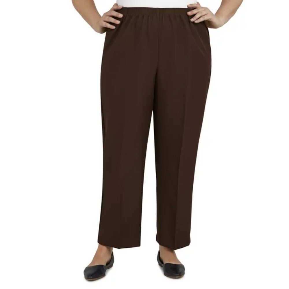 Briggs NY Pants Brown Pants 26WP Pull On NWT